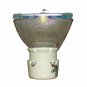 NEC NP27 Philips Projector Bare Lamp