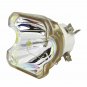DreamVision R87600005 Ushio Projector Bare Lamp