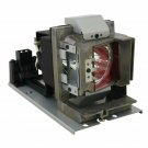 Optoma 5811118543-SOT Osram Projector Lamp Module