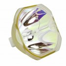 Panasonic   ET-LAD12KW Phoenix Projector Bare Lamp