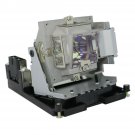 BenQ 5J.J8805.001 Philips Projector Lamp With Housing