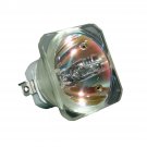 BenQ 5J.08021.001 Ushio Projector Bare Lamp