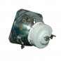 BenQ 5J.08021.001 Ushio Projector Bare Lamp