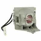 Viewsonic RLC-102 Compatible Projector Lamp Module