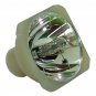 Acer EC.J0302.001 Philips Projector Bare Lamp