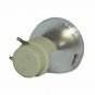 ViewSonic RLC-084 Osram Projector Bare Lamp