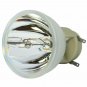 Dell 725-BBCV Osram Projector Bare Lamp