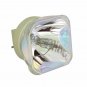 Everest ED-P68-LAMP Philips Projector Bare Lamp