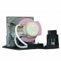 Optoma BL-FP230H Compatible Projector Lamp Module