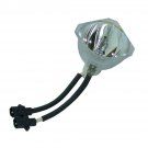 Acer EC.J1601.001 Phoenix Projector Bare Lamp