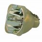 Digital Projection 107-750 Philips Projector Bare Lamp