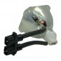 Acer EC.J0201.002 Phoenix Projector Bare Lamp