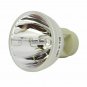 Acer MC.JG111.004 Osram Projector Bare Lamp