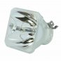 Canon LV-LP32 Ushio Projector Bare Lamp