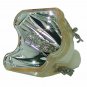 Panasonic ET-SLMP113 Philips Projector Bare Lamp