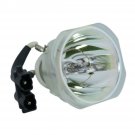 Dell 310-4523 Ushio Projector Bare Lamp