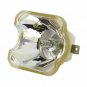 DreamVision R8760003 Ushio Projector Bare Lamp
