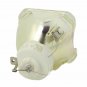 DreamVision R8760003 Ushio Projector Bare Lamp