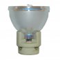 Acer EC.J6900.001 Osram Projector Bare Lamp