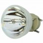 Optoma BL-FP190A Osram Projector Bare Lamp