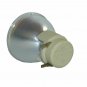 LG AJ-LBX2B Osram Projector Bare Lamp
