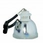 LG 6912B22006D Ushio Projector Bare Lamp