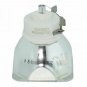 Dukane 456-8755J Ushio Projector Bare Lamp