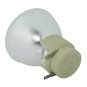 Original Osram Bare Projector Lamp for Infocus  SP-LAMP-100
