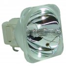 Acer EC.J4800.001 Osram Projector Bare Lamp