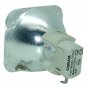 Acer EC.J4800.001 Osram Projector Bare Lamp