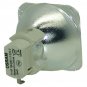 Acer EC.J4800.001 Osram Projector Bare Lamp