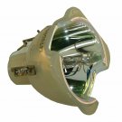 Barco R9801272 Philips Projector Bare Lamp