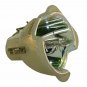 Barco R9801272 Philips Projector Bare Lamp