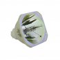 Original Philips Bare Lamp For Epson ELPLP72