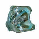 INGSYSTEM POA-LMP103 Osram Projector Bare Lamp
