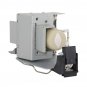 Acer EC.K3000.001 Philips Projector Lamp With Housing