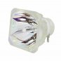 NEC NP14LP Phoenix Projector Bare Lamp