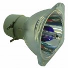 Digital Projection 109-682 Philips Projector Bare Lamp