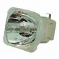 Optoma BL-FP195C Osram Projector Bare Lamp