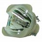 Digital Projection 109-387A Philips Projector Bare Lamp