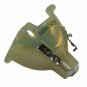 Knoll Systems SP-LAMP-032 Philips Projector Bare Lamp
