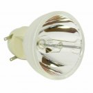Vivitek DS23DAA Osram Projector Bare Lamp