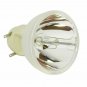 Vivitek DS23DAA Osram Projector Bare Lamp