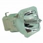 Optoma BL-FP180B Osram Projector Bare Lamp
