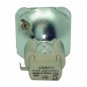 Optoma BL-FP180B Osram Projector Bare Lamp