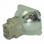 Optoma BL-FP180B Osram Projector Bare Lamp