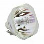 Original Osram ELPLP87 Bare Lamp for Epson Projector