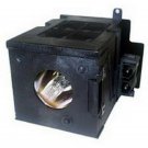 BenQ 60.J2010.CB2 Ushio Projector Lamp With Housing