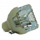 Canon LV-LP19 Philips Projector Bare Lamp