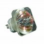 Viewsonic RLC-030 Ushio Projector Bare Lamp